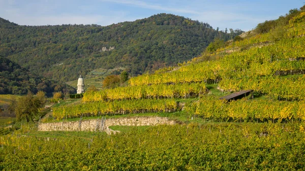 Colored Vineyards Duernstein Wachau Austria Sunny Day Autumn — Stock Photo, Image