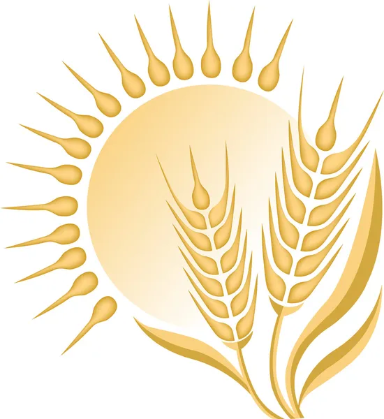 Wheat logo — Stock Vector