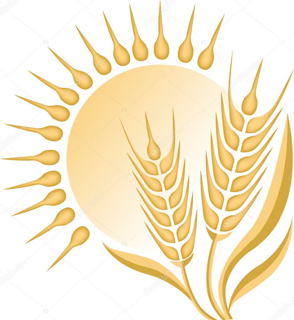 Illustration art of a wheat logo with isolated background