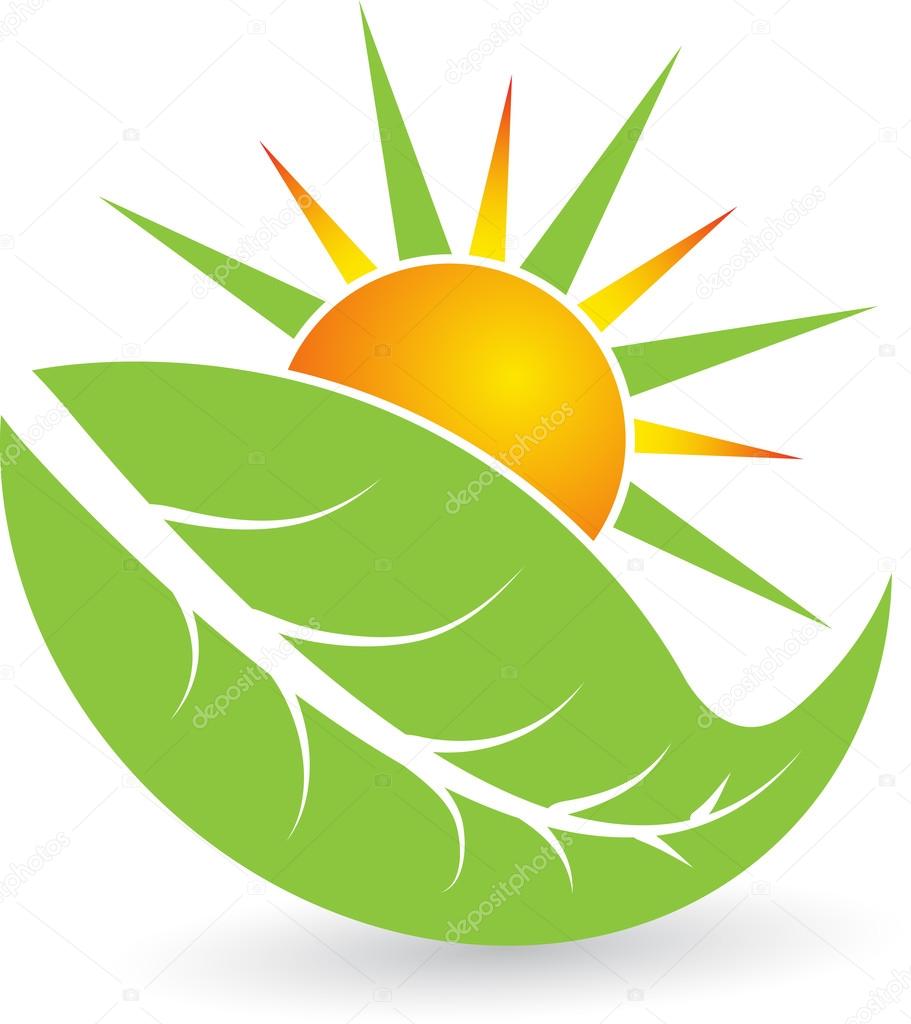 Illustration art of a summer leaf logo with isolated background