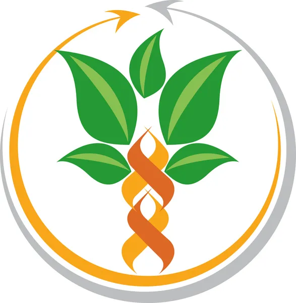 Baum-Logo — Stockvektor