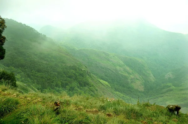 Zona de Hills — Foto de Stock