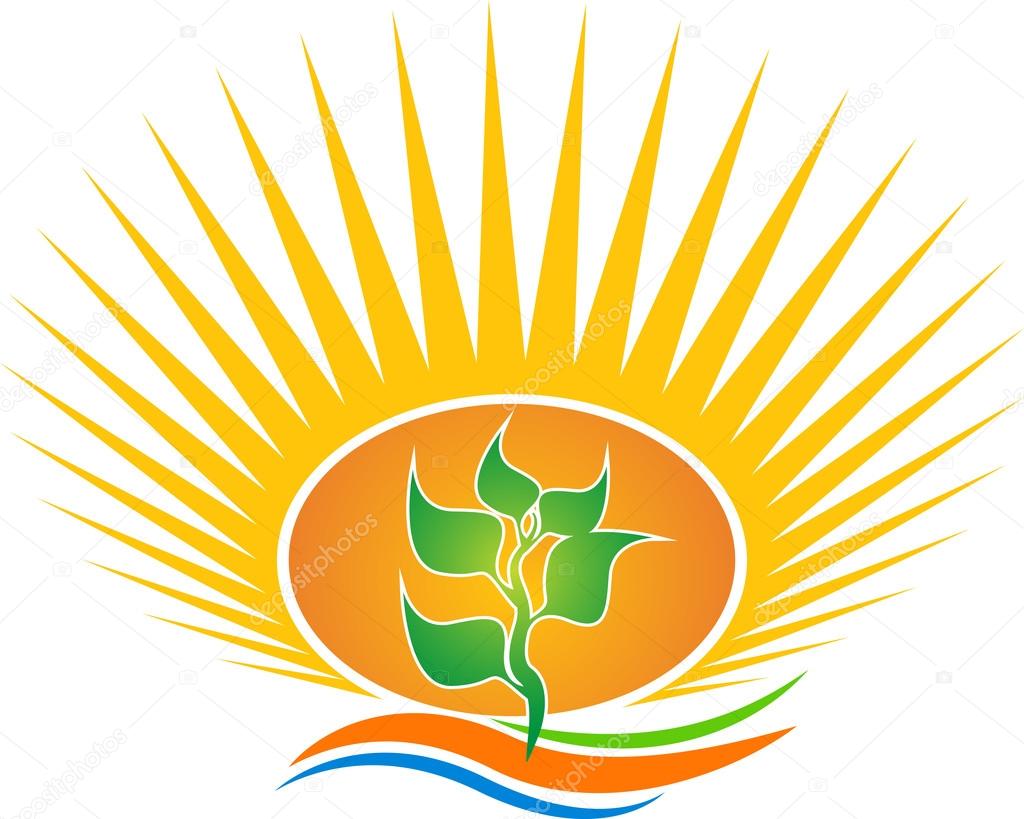Illustration art of a sun leaf logo with isolated background