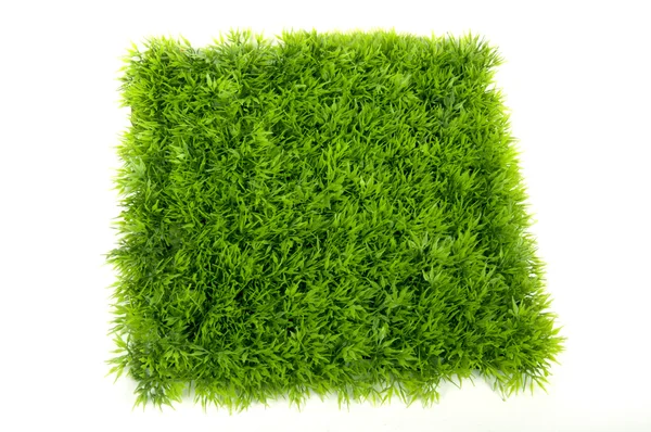 Grama verde quadrado — Fotografia de Stock