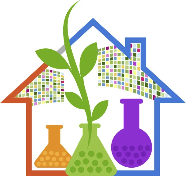 Home laboratório logotipo à base de plantas — Vetor de Stock
