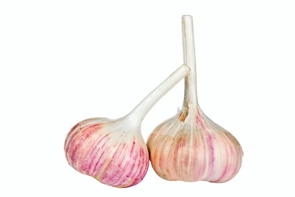 Two cloves of garlic — Stock Photo, Image