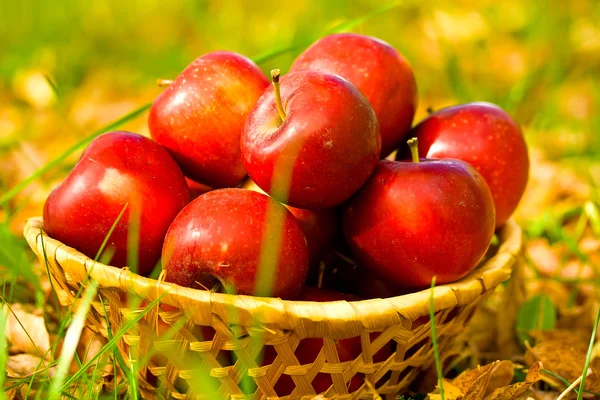 Rote Äpfel im Weidenkorb — Stockfoto