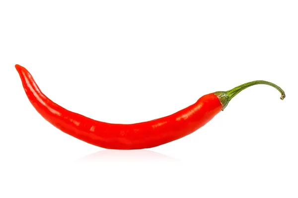 Chilischote — Stockfoto