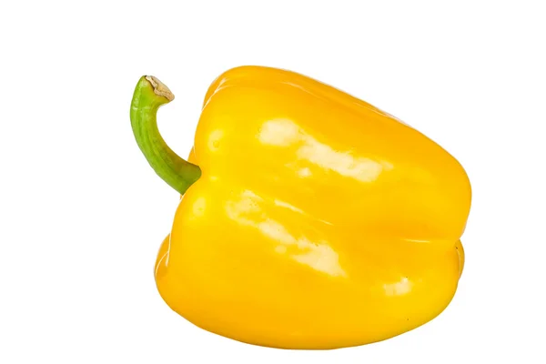 Mogen gul paprika — Stockfoto