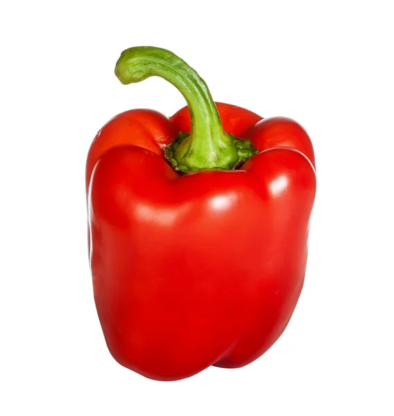 Mogen röd paprika — Stockfoto