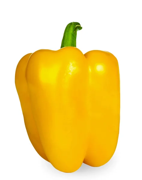 Mogen gul paprika — Stockfoto