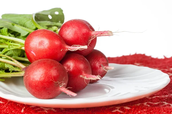 Bunch of radishes on white dish — Stock Photo, Image