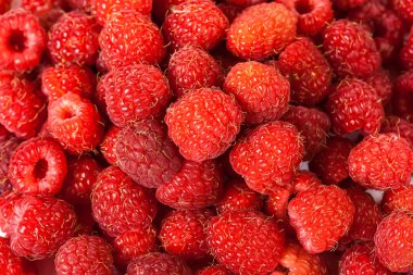 Olgun yabani ahududu