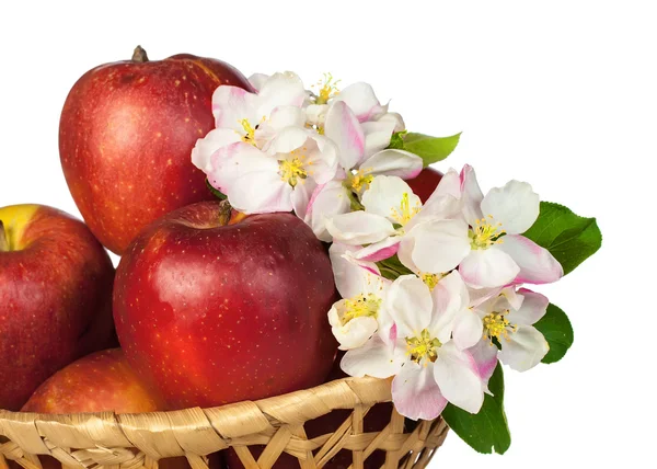 Red apples and flowers — Stock Photo, Image