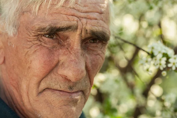 Portretul unui bătrân — Fotografie, imagine de stoc