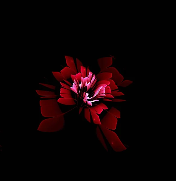 Fleur Fantaisie Fractale Sur Fond Sombre — Photo