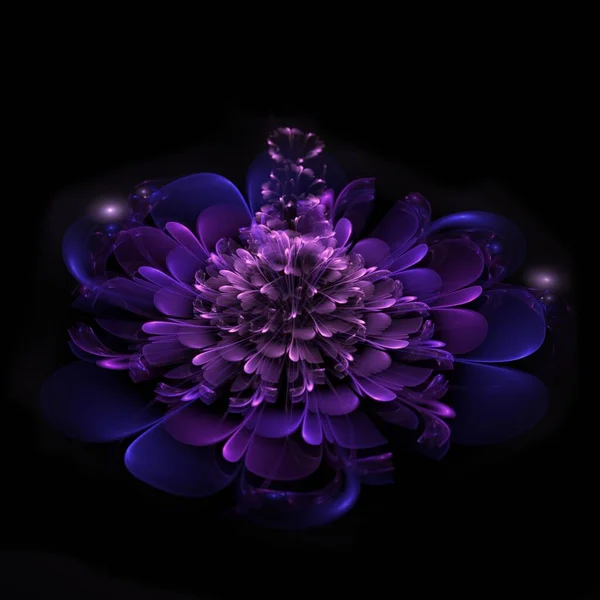 Fractal fantasy flower on a dark background