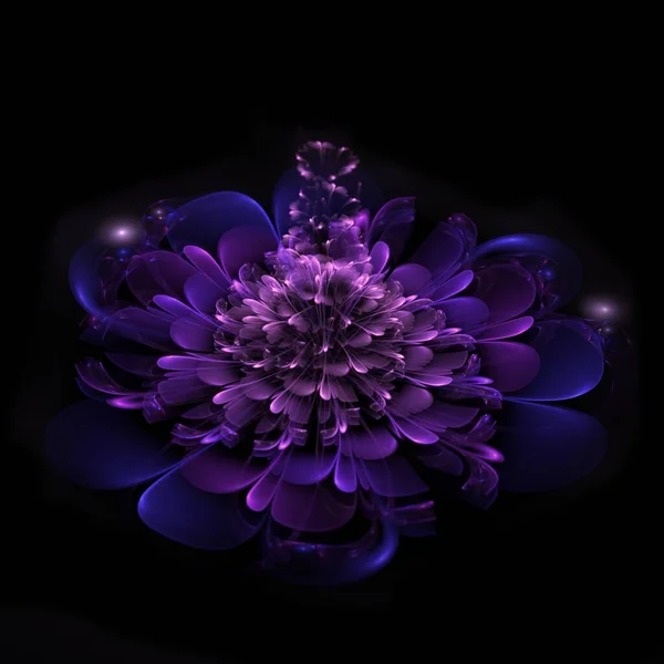 Fractal Fantasy Flower Dark Background 图库图片