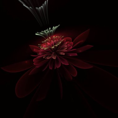Koyu fraktal çiçek, yaratıcı grafik tasarımı için dijital sanat çalışması