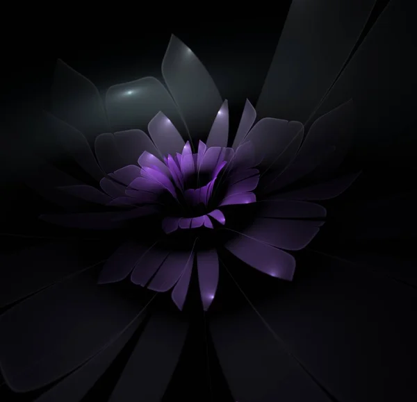 Темна Фрактальна Квітка Цифрове Мистецтво Творчого Графічного Дизайну — стокове фото