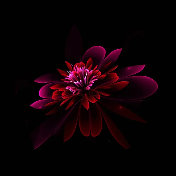 Fractal fantasy flower on a dark background