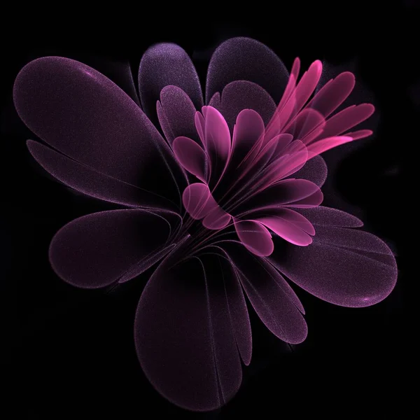 Fractal fantasy flower on a dark background