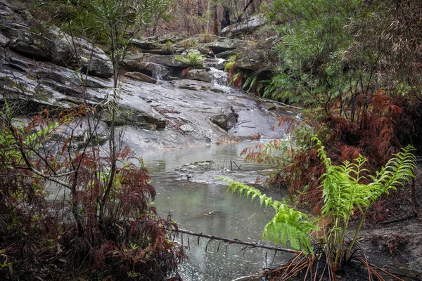 Pioggia Estate Più Fresca Permettono All Ambiente Riprendersi Dai Recenti — Foto Stock