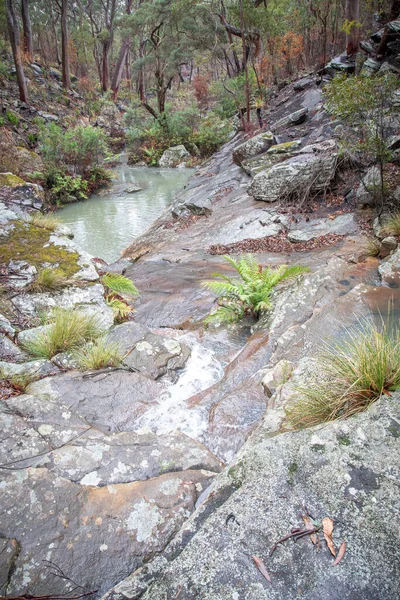 Rain Cooler Summer Allows Environment Recover Recent Bushfires — Stock Photo, Image