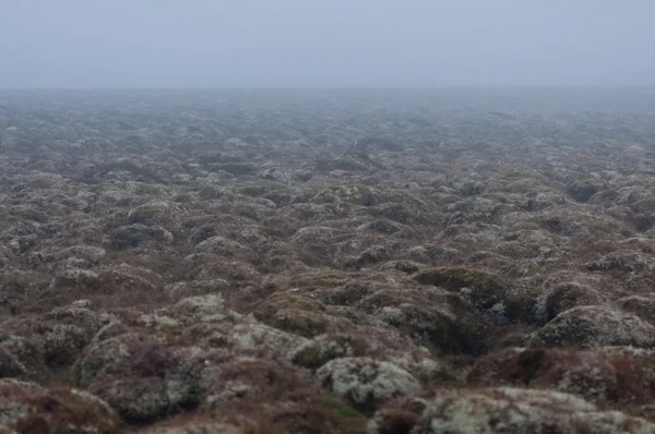 Iceland — Stock Photo, Image