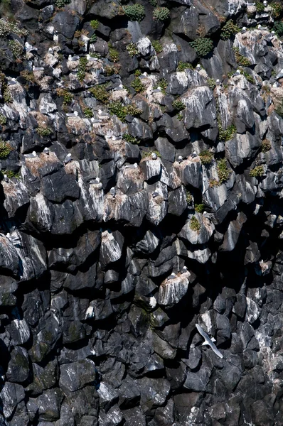 Islandia — Zdjęcie stockowe