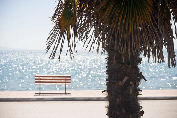 Banco à beira-mar, palma da mão — Fotografia de Stock