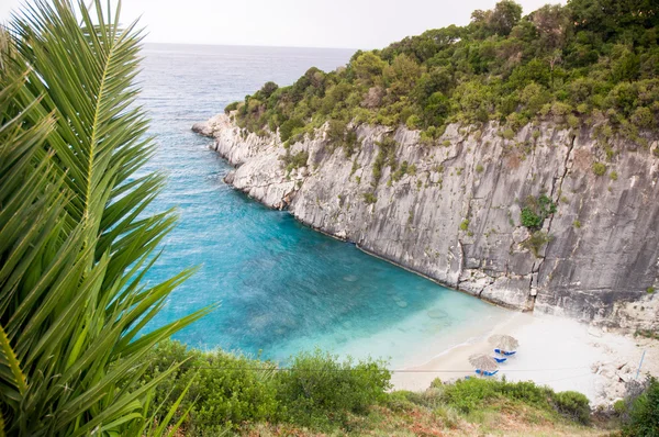 Bay beach with palm trees and blue water — Stock Photo, Image