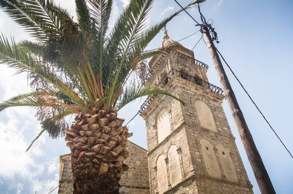 Древнегреческая церковь с пальмой — стоковое фото