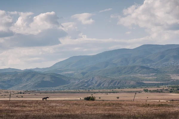 Dry land under mountains — Stock Photo, Image