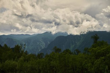 Sis Dağı Vadisi'nde. Sabah sis göle Altay Dağları üzerinde.