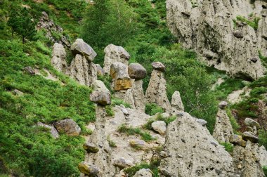 Tepenin yamacında duran, tepesinde kaya parçaları olan yüksek kaya oluşumları. Taş mantarlar, Altai, Sibirya, Rusya.