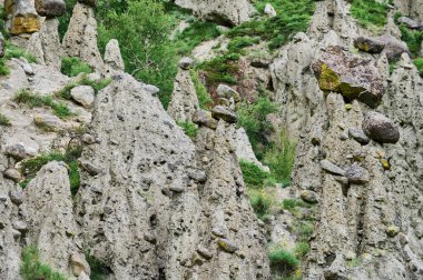 Tepenin yamacında duran, tepesinde kaya parçaları olan yüksek kaya oluşumları. Taş mantarlar, Altai, Sibirya, Rusya.