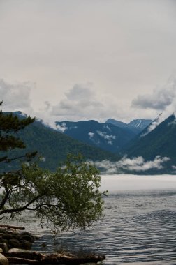 Sis Dağı Vadisi'nde. Sabah sis göle Altay Dağları üzerinde.