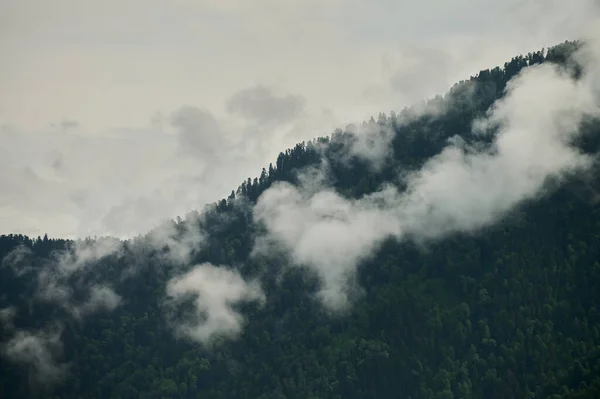 Mlha v horském údolí. Ranní mlha nad jezerem v pohoří Altaj. — Stock fotografie