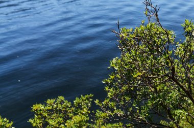 Sis Dağı Vadisi'nde. Sabah sis göle Altay Dağları üzerinde.