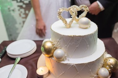 Gelin ve damadın elleri bir dilim düğün pastasından kesilmiş..