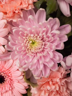 Çok sayıda farklı çiçek jölesiyle yakın plan renkli bahar çiçeği..