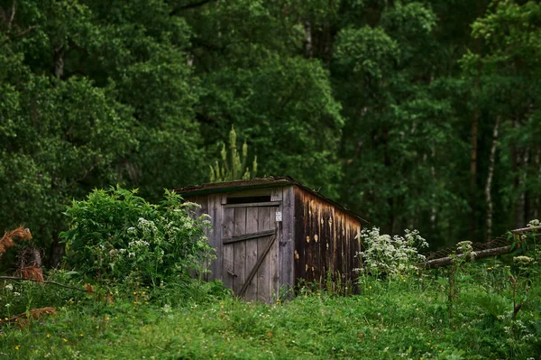 Countryside old rural house in the middle of the forest, like russian childrens fairy tales. selective focus. — стокове фото