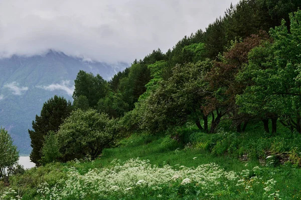 Altas montañas verdes arboladas, río sinuoso, fondo rocoso, puente, cielo azul y nubes rosadas. Río Gumista Occidental Abjasia. — Foto de Stock