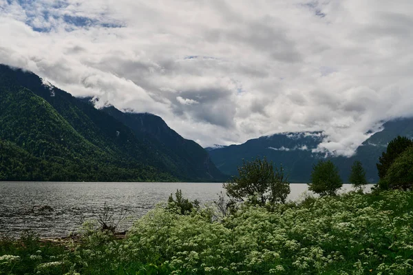 Lago Teletskoye nelle montagne di Altai, Siberia, Russia. Bellezza mattina d'estate. — Foto Stock