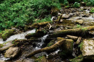 Altay Dağları'ndaki Teletskoye Gölü'ndeki Estyube Şelalesi.