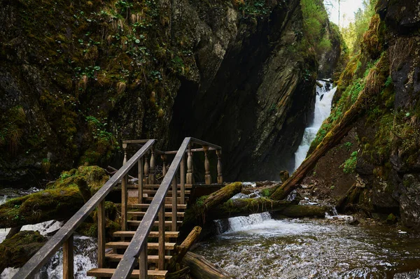 Moss, water, brook, leaves, stones, nature, waterfall, landscape, mystery, tree, trunk, broken, bracken. — 스톡 사진