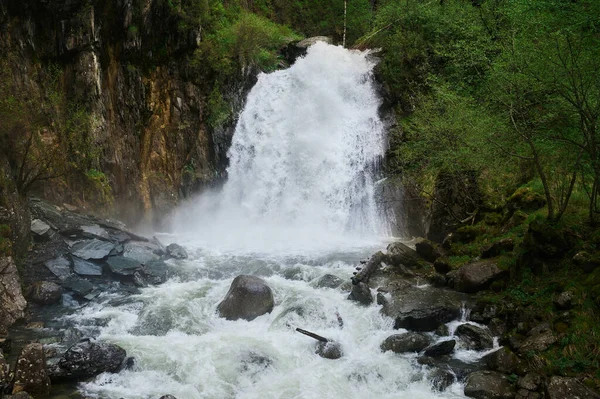 Moss, water, brook, leaves, stones, nature, waterfall, landscape, mystery, tree, trunk, broken, bracken. — 스톡 사진