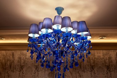 Çok sayıda farklı çiçek jölesiyle yakın plan renkli bahar çiçeği..