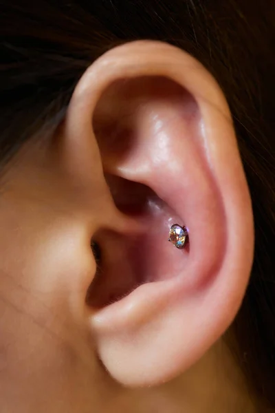 Piercings op een oor. Conch en helix piercings close-up. — Stockfoto